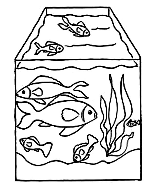 600x733 Drawing Fish Tank Coloring Page