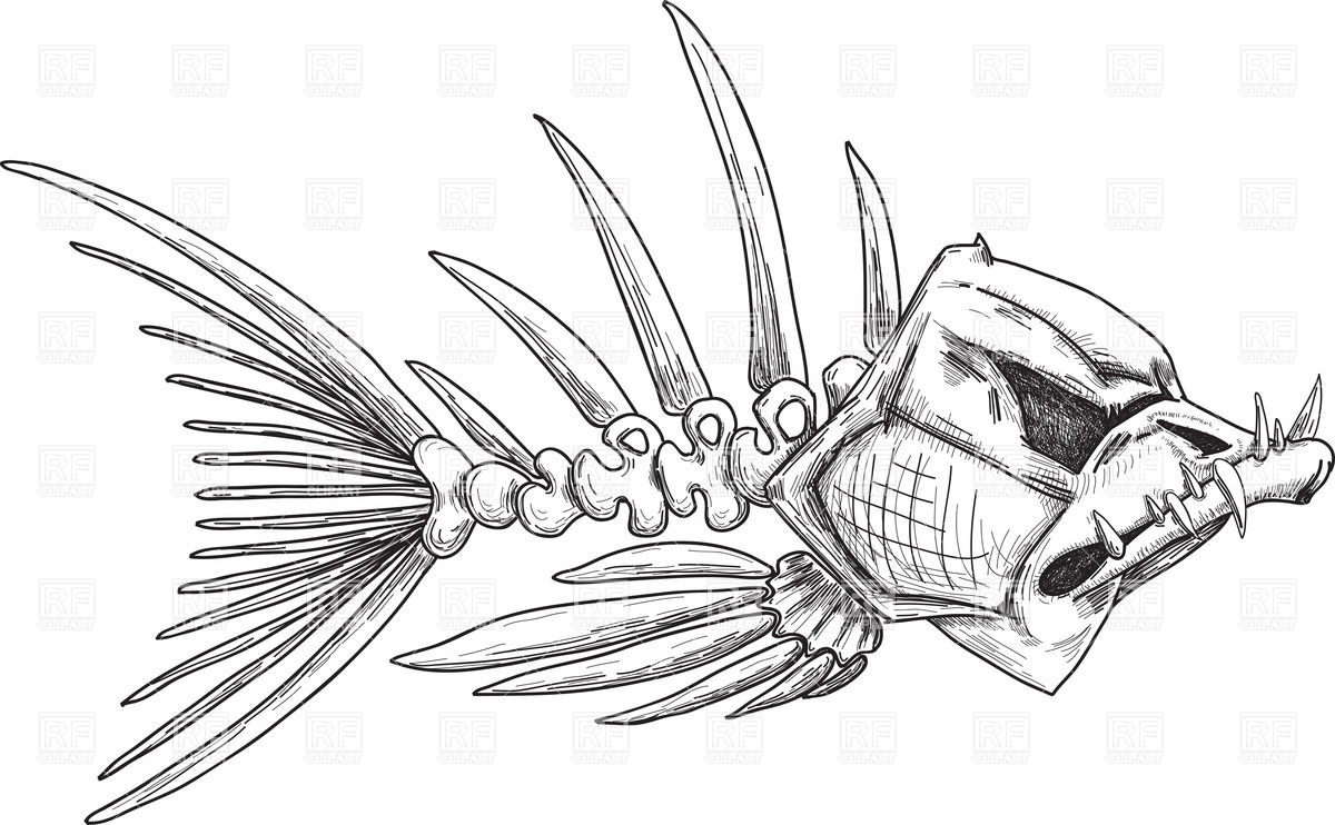 1200x742 Sketch Of Evil Fish Skeleton With Sharp Crooked Teeth Royalty Free
