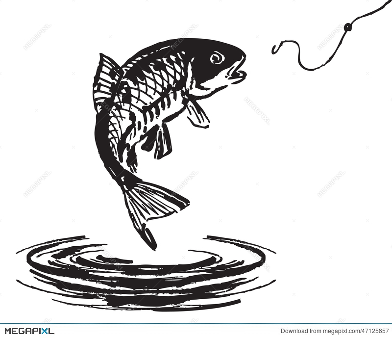 800x689 Fish Jumping Out Of The Water Illustration 47125857