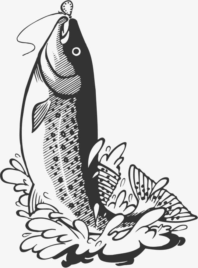 650x879 Pomfret Jumped, The Fish Out Of The Water, Jumping Fish, Jump Out