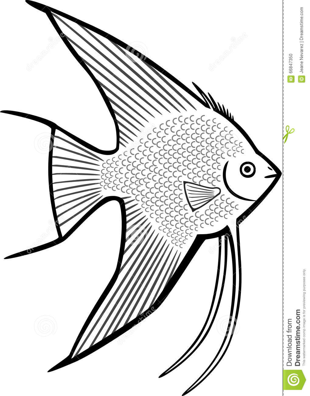 1019x1300 Drawn Fishing Angelfish
