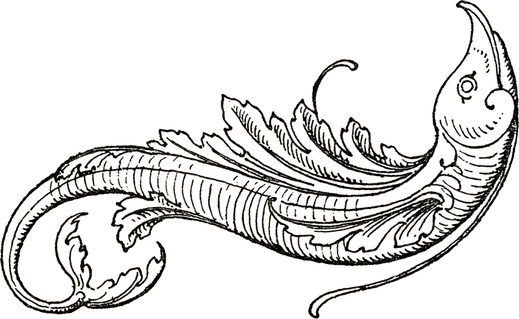 1800x1109 Fancy Flying Fish 2 Graphicsfairy