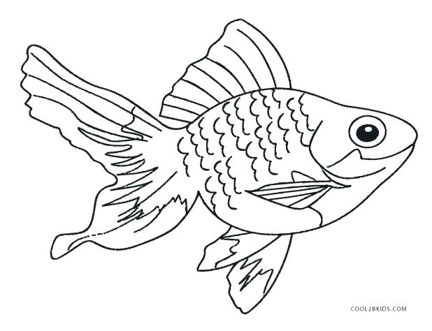 618x474 Fish Images To Color Drawn Goldfish Fish Line 6 Colorful Saltwater