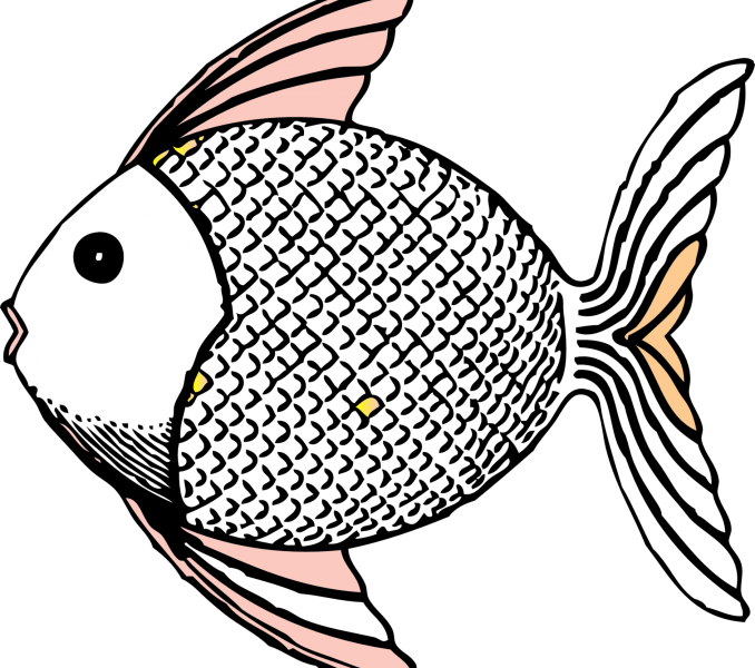 678x600 Fish Line Drawings Kids Coloring