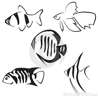 400x397 Fish Line Drawing