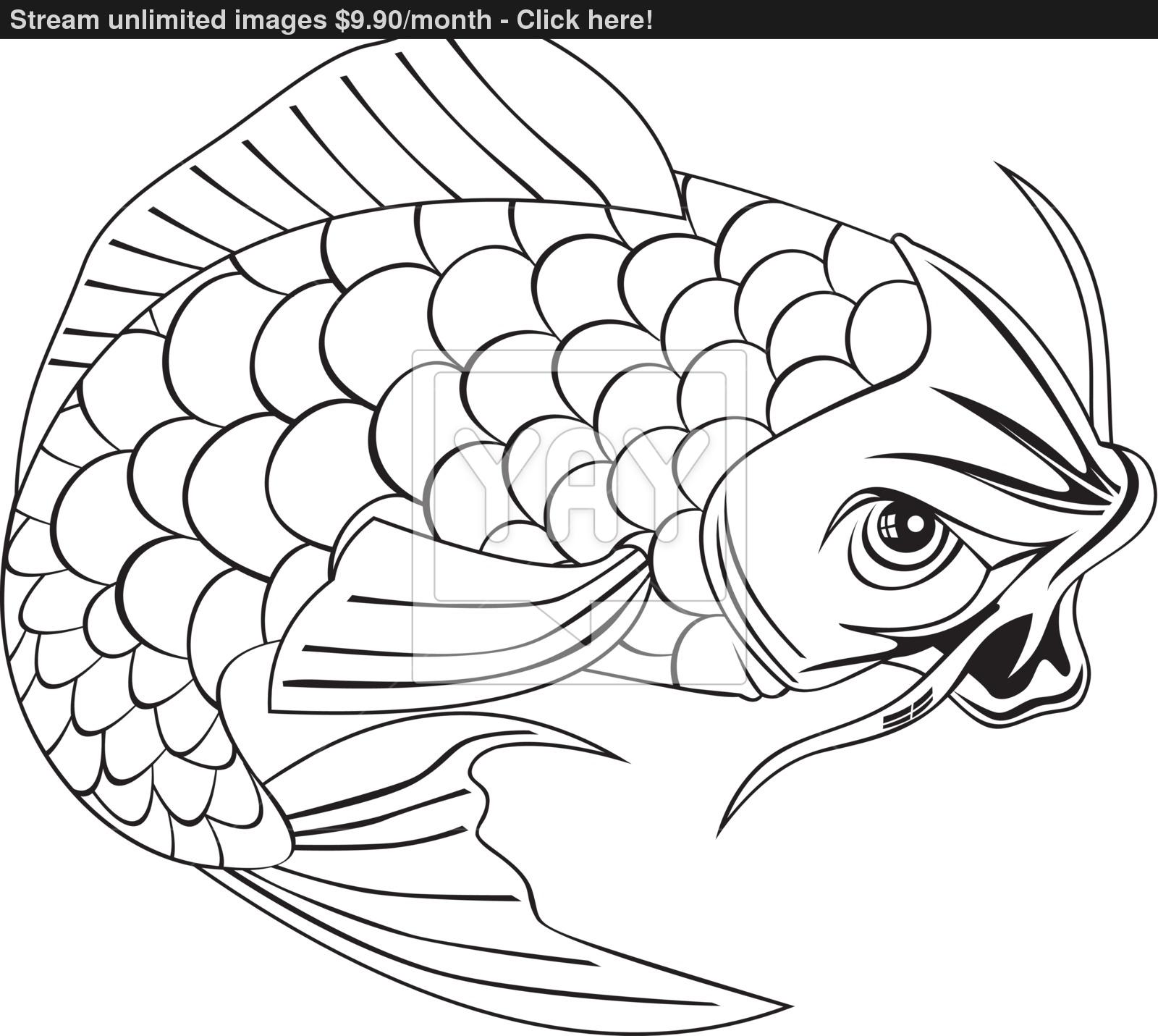 1600x1431 Koi Carp Fish Jumping Line Drawing Vector