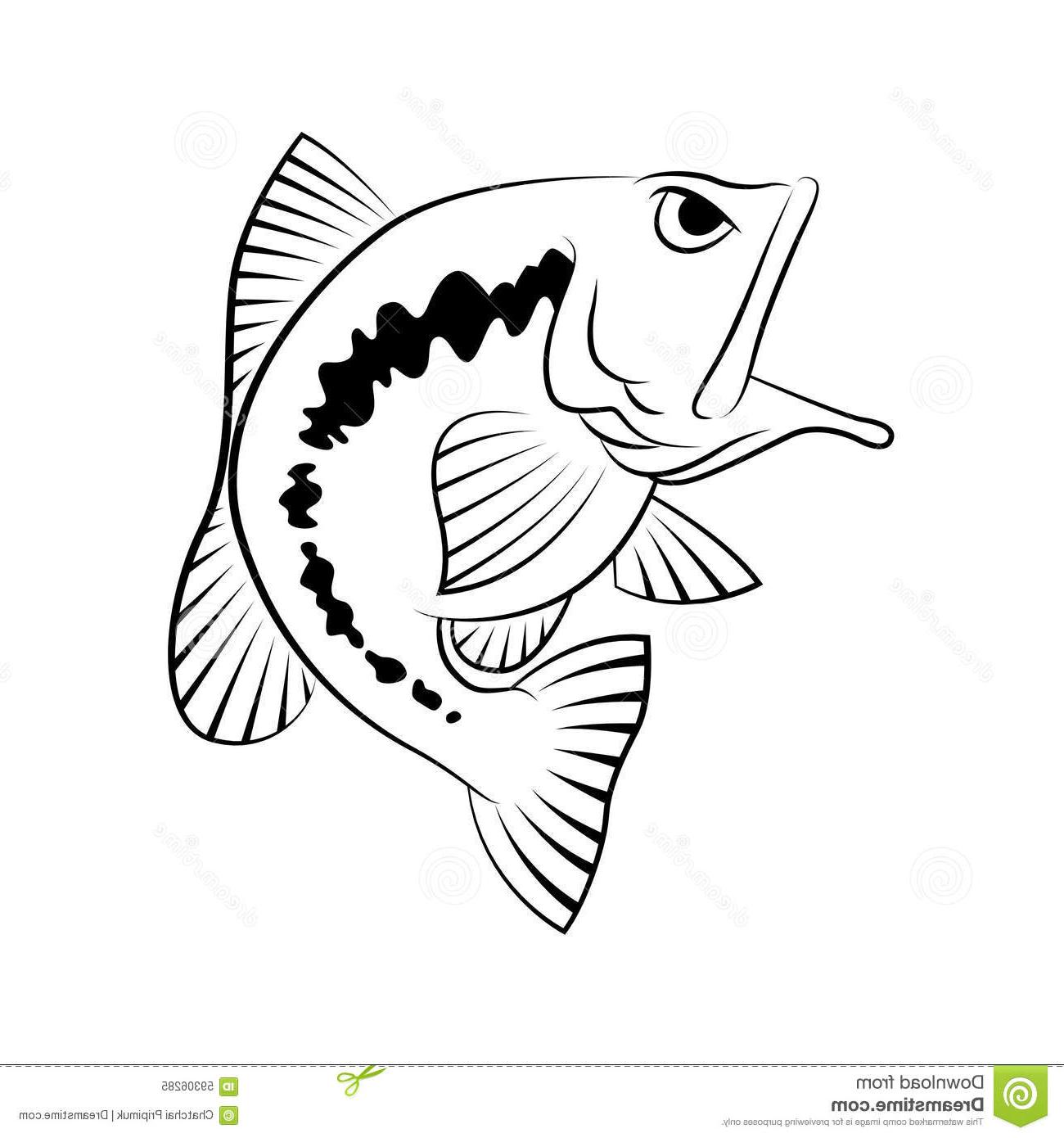 1300x1390 Bass Fish Symbol White Background Vector Painting Beautiful Action