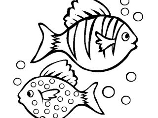 320x240 Drawing Template For Kids Fish Template 50 Free Printable Pdf