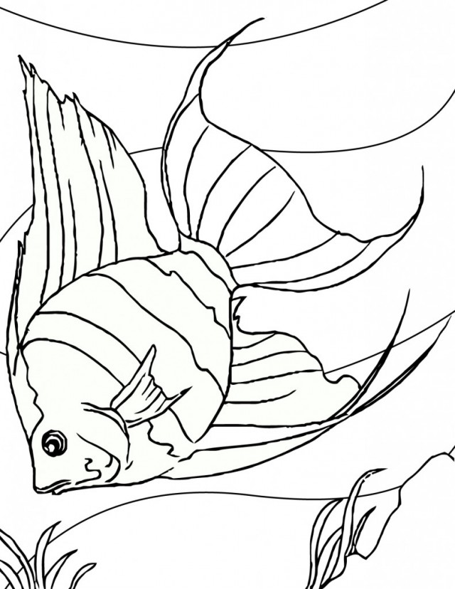 640x828 Fish Bowl Coloring Page Printable