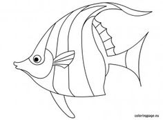 236x174 Google Images Clip Art Free Of Fish Fish Outline Image Clip