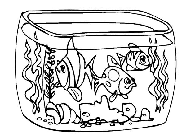 600x450 How To Draw Fish Tank Coloring Page