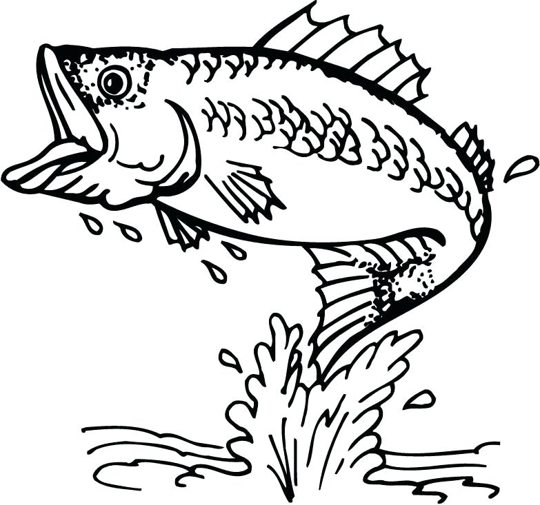 783x733 Realistic Fish Coloring Pages Fish Coloring Pages Realistic