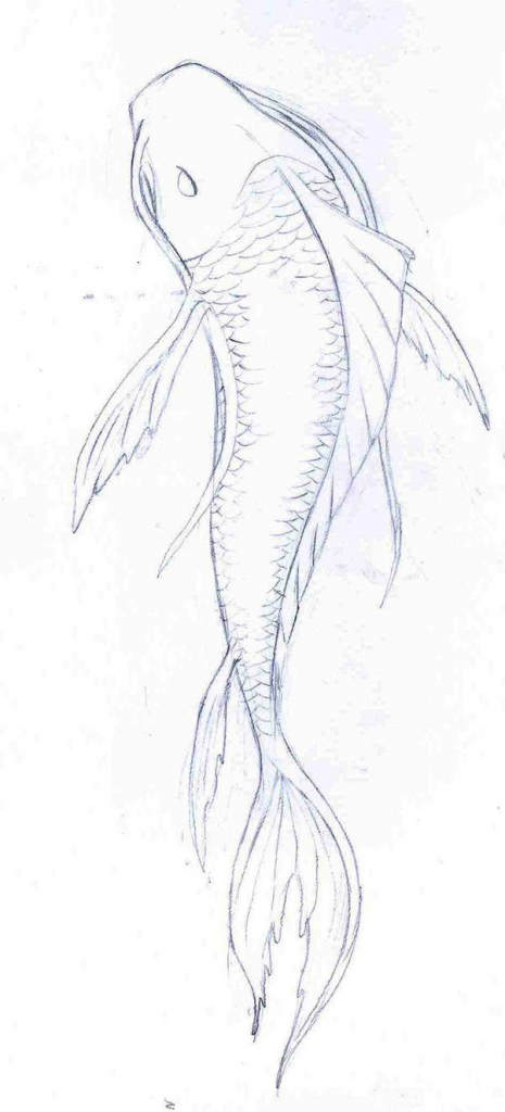 465x1024 Fish Pencil Drawings