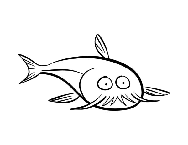 600x464 Pencil Sketch Catfish Coloring Pages Best Place To Color