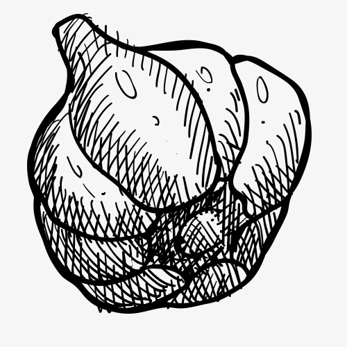 500x500 Pencil Drawing,fruits Vegetables,vegetables,sketch,black