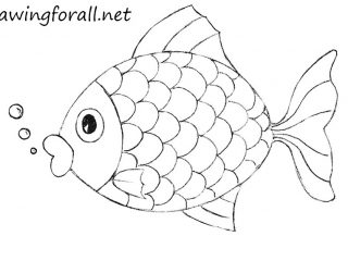 320x240 Outline Drawing For Kids How To Draw A Fish For Kids Drawingforall