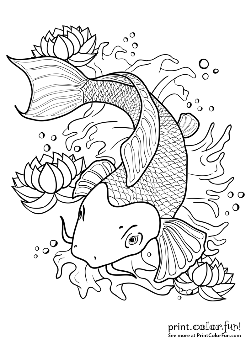 800x1100 Koi Fish In A Pond Coloring Page