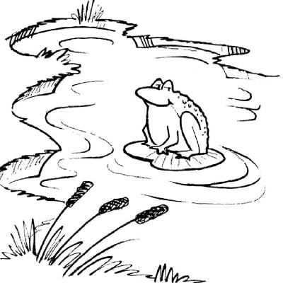 400x400 Pond Dip Net Howstuffworks