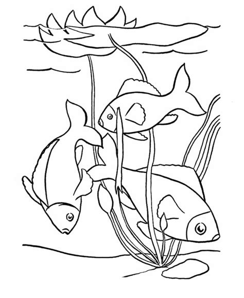 474x579 Pond Life Cartoon Outline