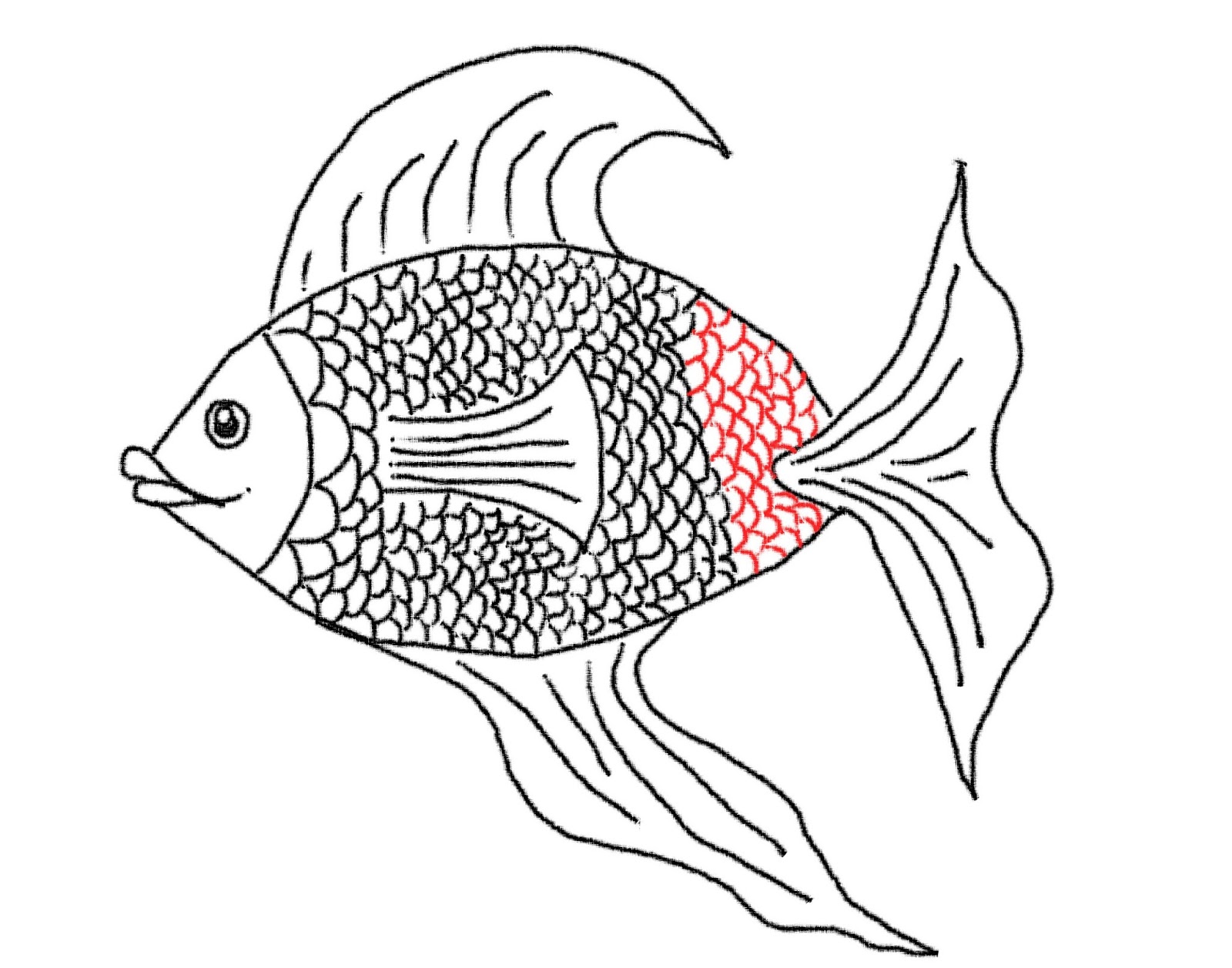 Line drawing of fish - nibhtposters