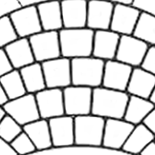 500x500 Frictionpave Patterns Fish Scale