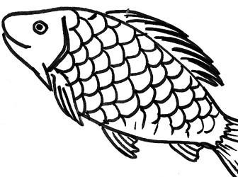 Fish Scales Drawing at GetDrawings | Free download