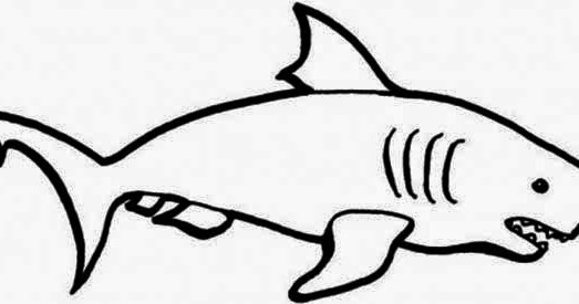 523x275 Fuffetto Simple Shark Drawing To Color