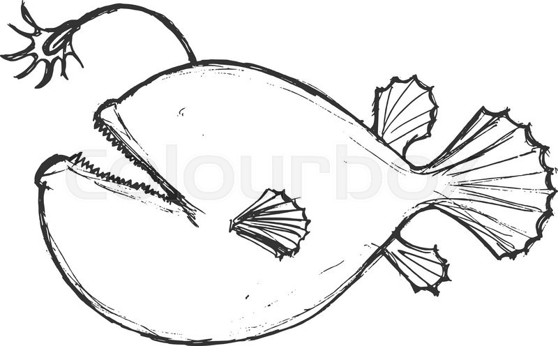 800x496 Deep Sea Fish, Illustration Wildlife, Zoo, Wildlife, Animal