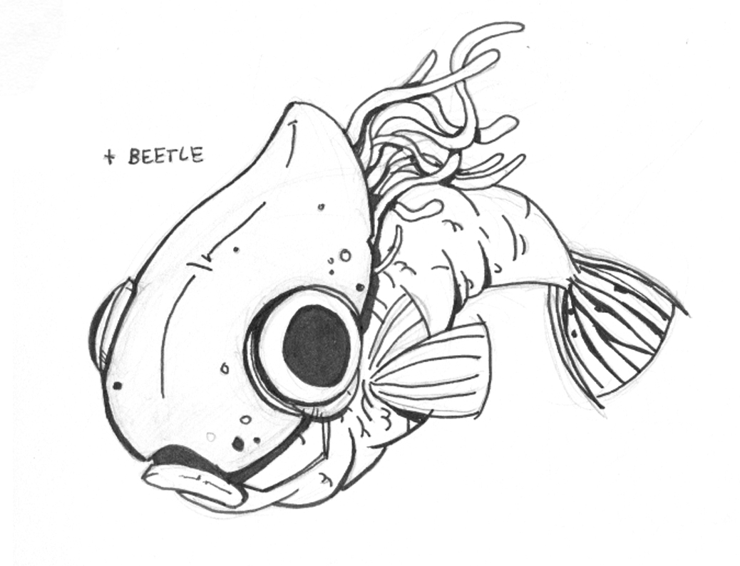 1038x794 Designing Friendly Fish