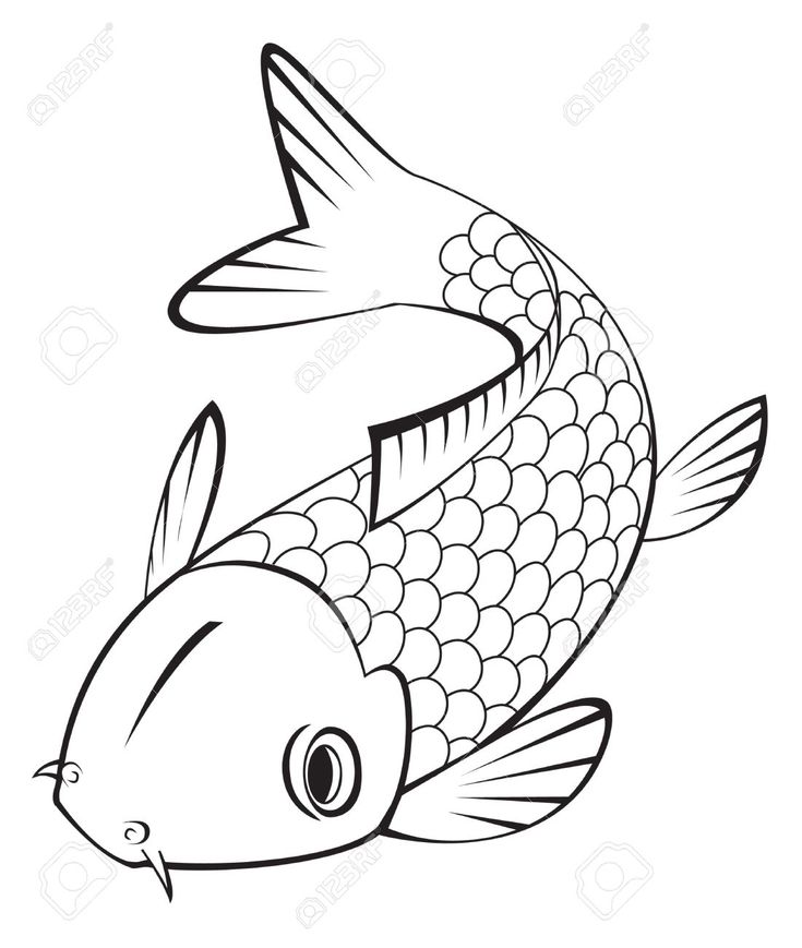 735x869 Drawn Koi Amazing Fish 3363047