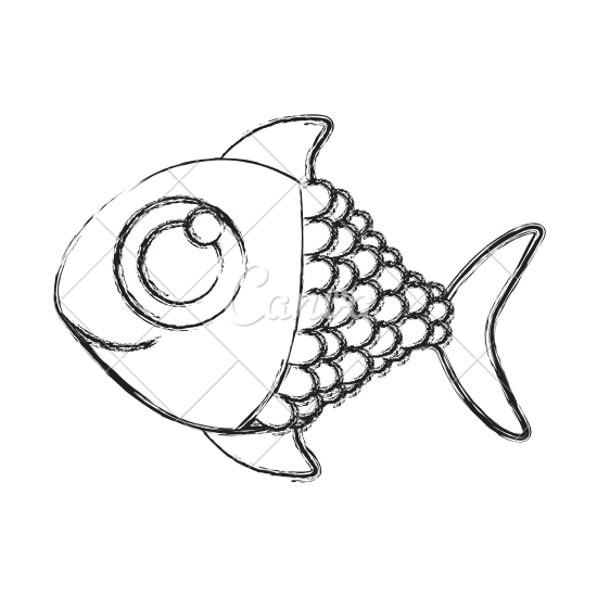 550x550 Fish Sketch