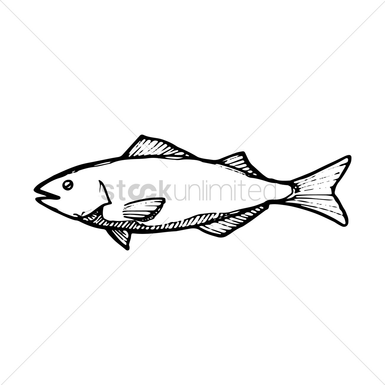 1300x1300 Tuna Fish Vector Image
