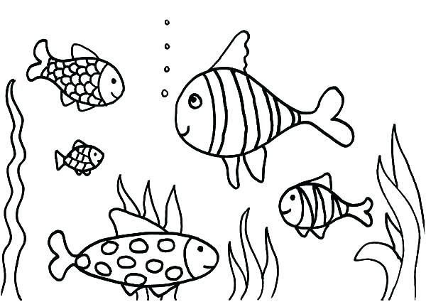 600x425 Fish Tank Coloring Page Coloring Pages Fish Tank Coloring Pages