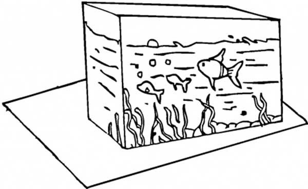 600x368 Fish Tank Coloring Page For Kids