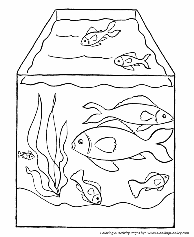 670x820 Pet Fish Coloring Page Fish Tank Desenhos Pet