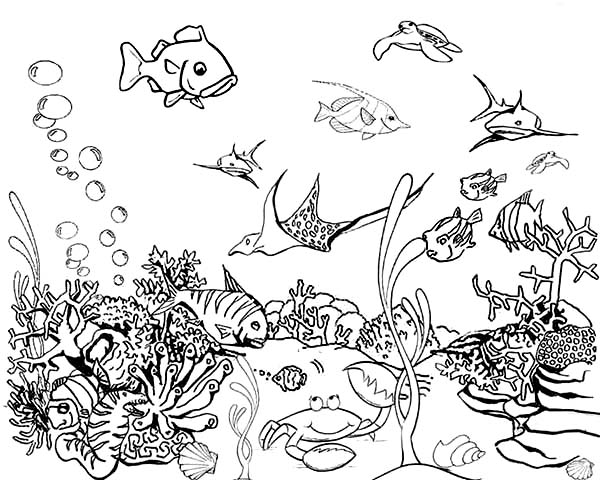 600x480 Tropical Fish Tank Coloring Page