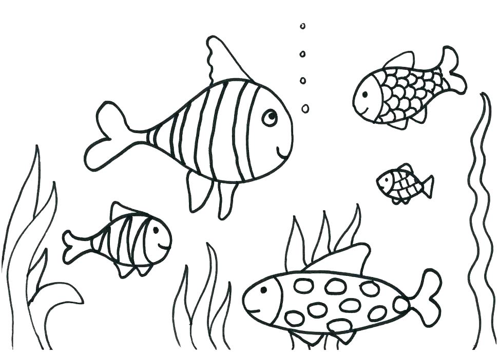 970x685 Aquarium Coloring Page
