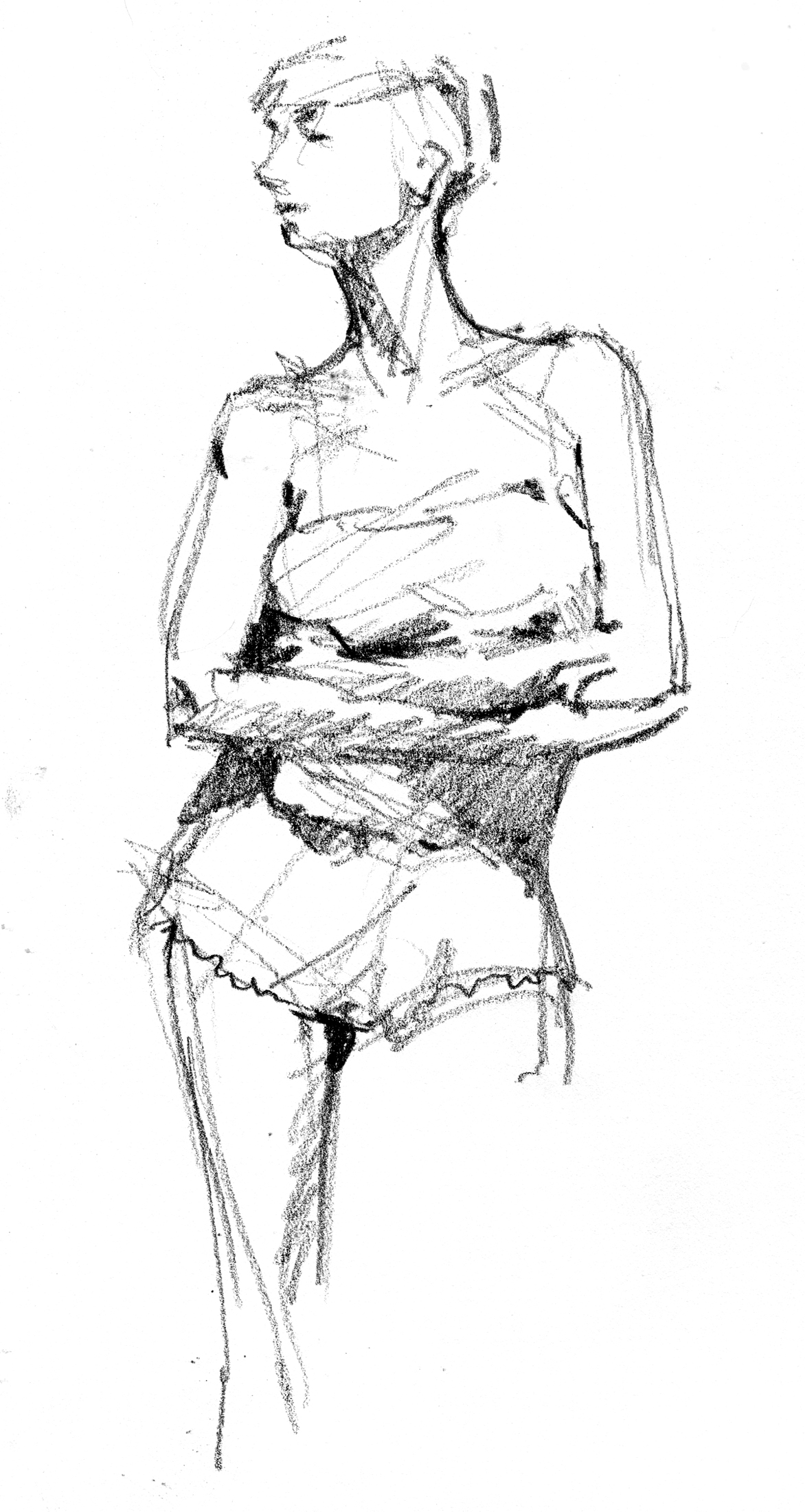 1172x2200 Arms Drawing The Motmot