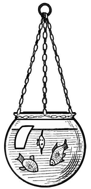 300x622 Drawing Fish Bowls How To Draw Fish In Their Bowl Step By Step