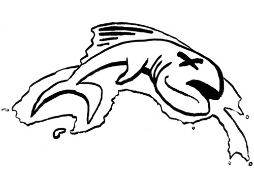 500x375 Dead Fish By Blamrob