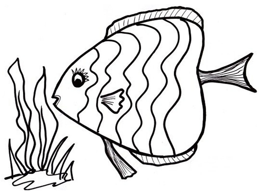 1000x750 Fish Coloring Page 2016 Printable Activity Shelter