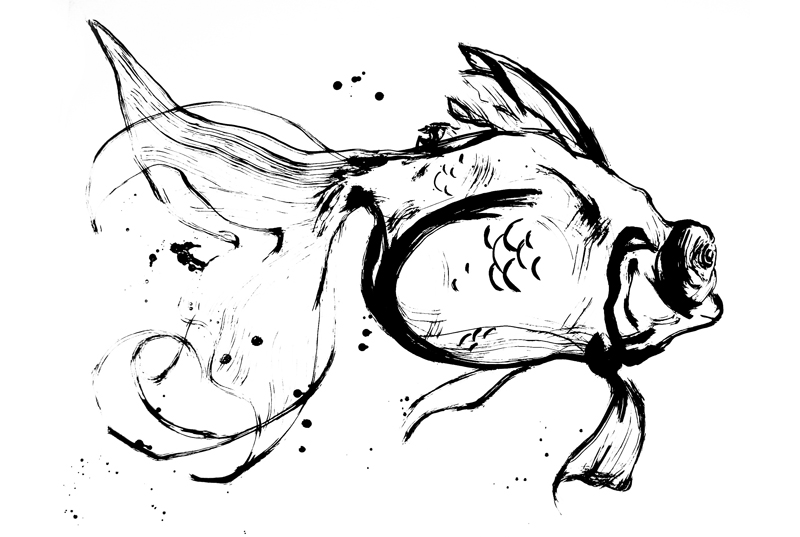 Fishes Drawing