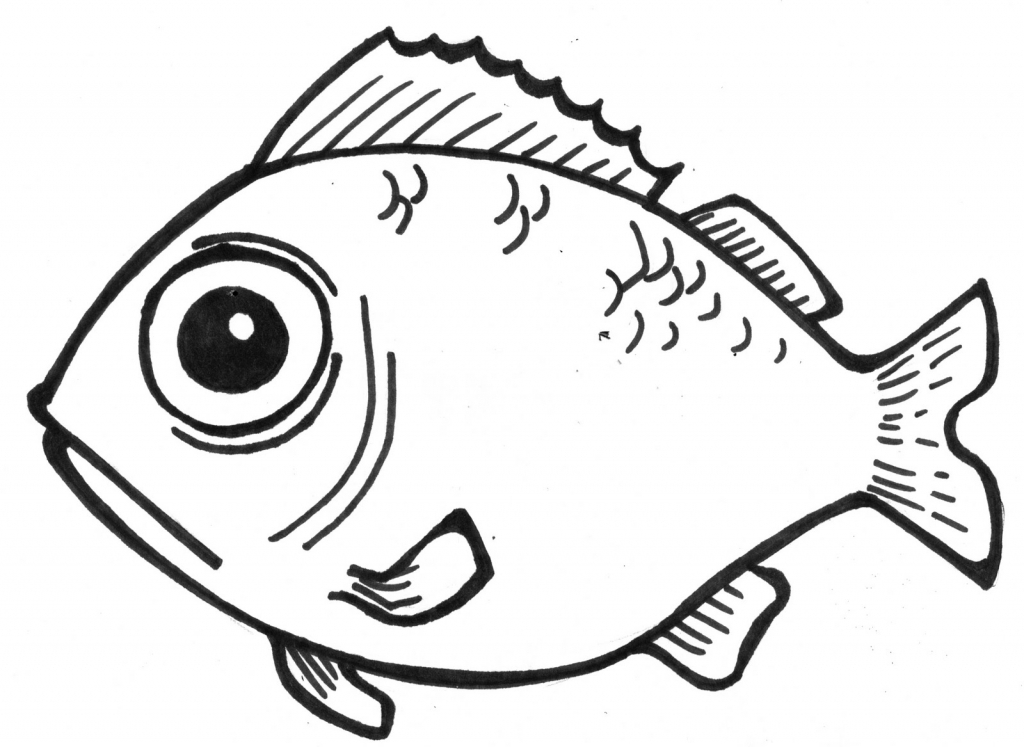 1024x747 How To Draw A Fish For Kids Fish Drawing For Kids Free Download