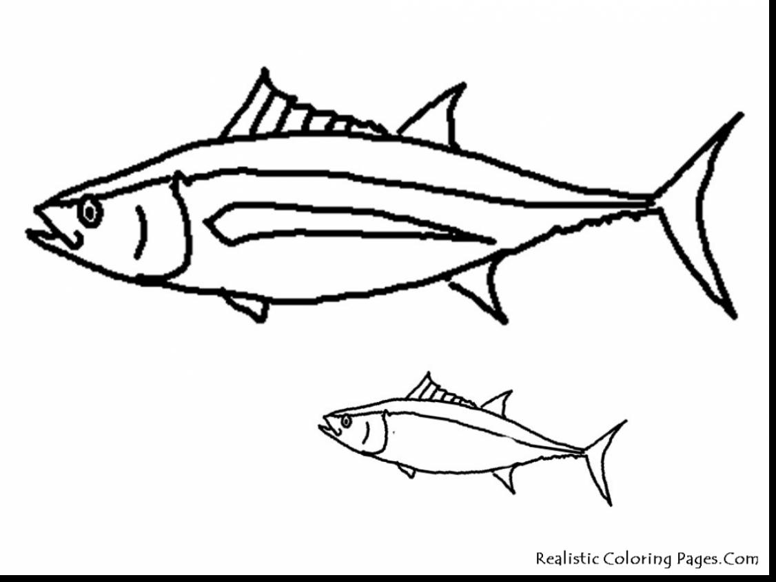 1126x844 Stunning Tuna Fish Coloring Page With Fishing Coloring Pages