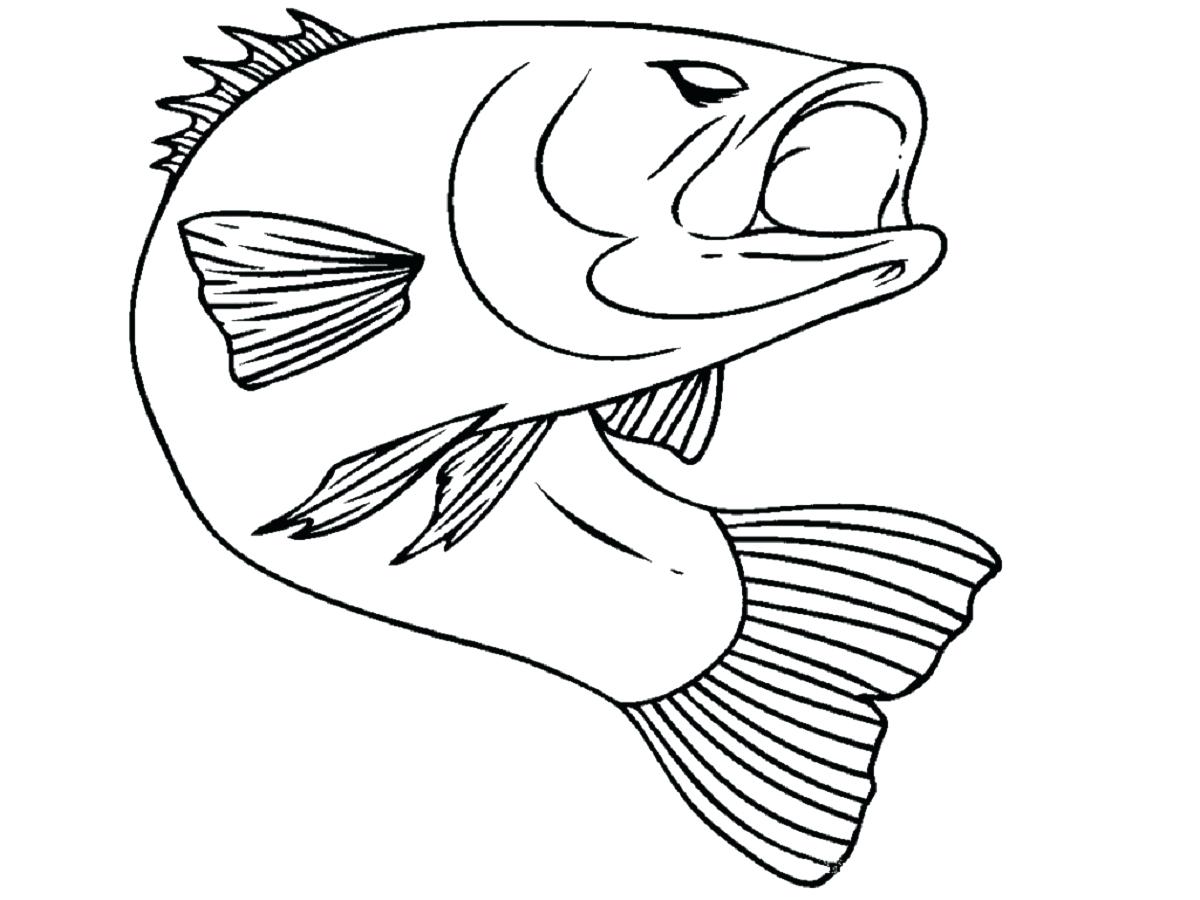 1200x900 Coloring Coloring Page Of A Fish Detail Printable Cartoon