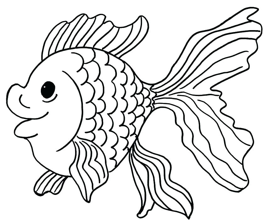 850x701 Coloring Page Of Fish Coloring Pages Collection