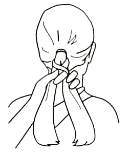 252x300 You Are Going To Repeat Steps 2 And 3 Until The Braid Is As Long