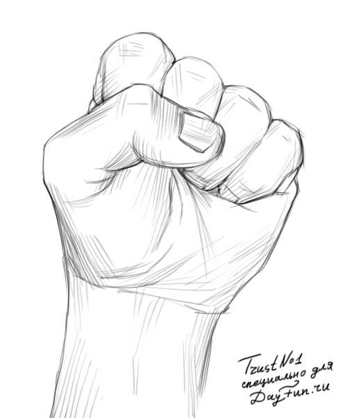 496x600 How To Draw A Fist Step By Step
