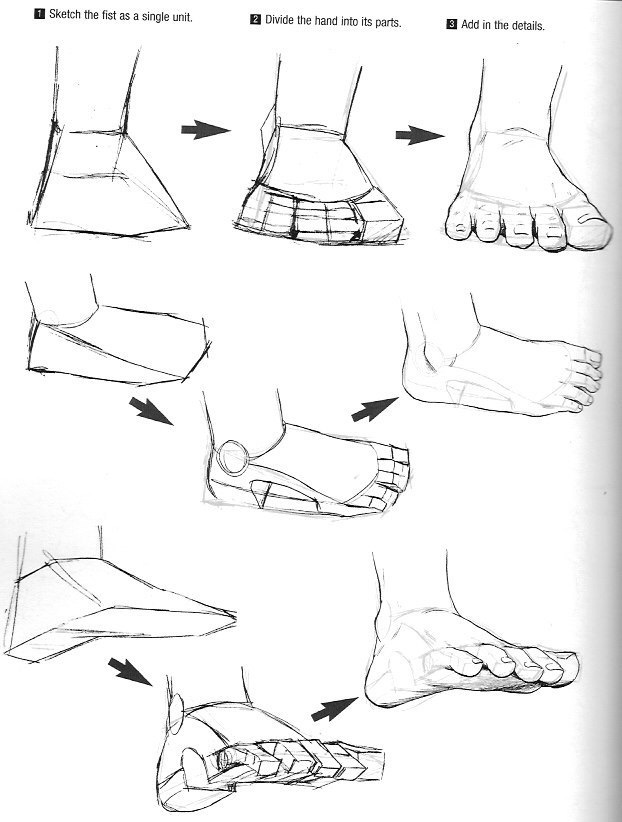 622x822 Pin By Alexandra Castellanos On Drawing Tutorials