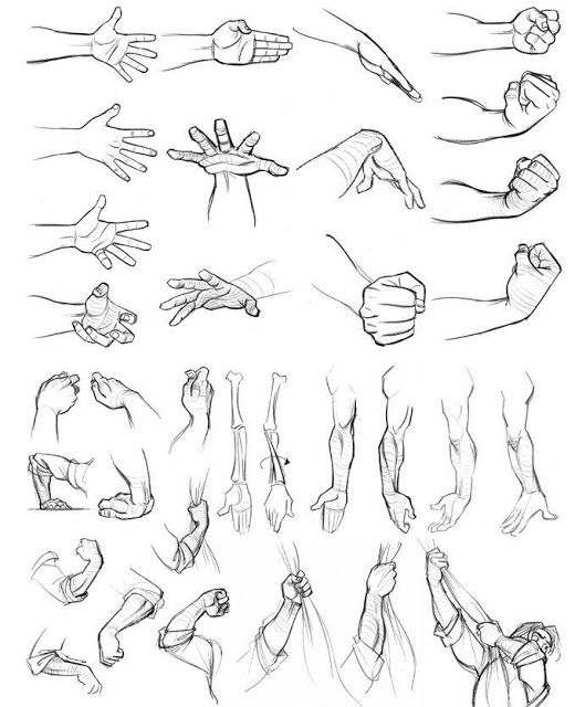 520x640 Constructing And Drawing Hands In The Right Way Drawing